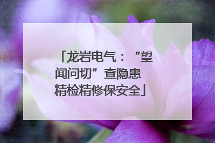 龙岩电气：“望闻问切”查隐患 精检精修保安全