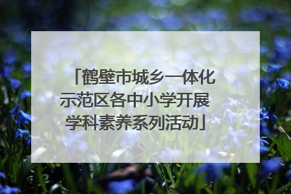 鹤壁市城乡一体化示范区各中小学开展学科素养系列活动