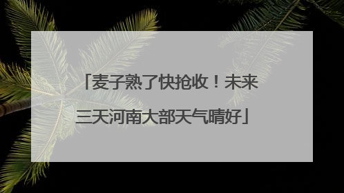 麦子熟了快抢收！未来三天河南大部天气晴好