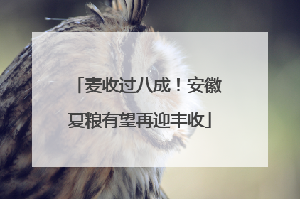 麦收过八成！安徽夏粮有望再迎丰收