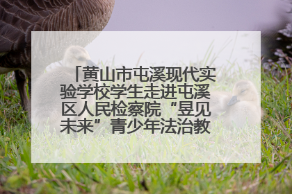 黄山市屯溪现代实验学校学生走进屯溪区人民检察院“昱见未来”青少年法治教育宣传基地