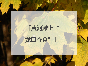 黄河滩上“龙口夺食”