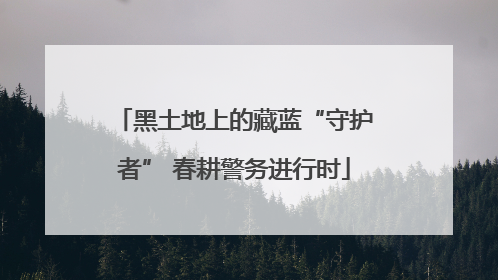 黑土地上的藏蓝“守护者” 春耕警务进行时