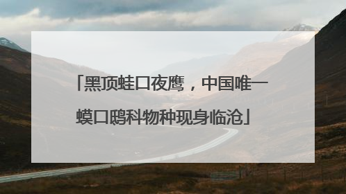 黑顶蛙口夜鹰，中国唯一蟆口鸱科物种现身临沧