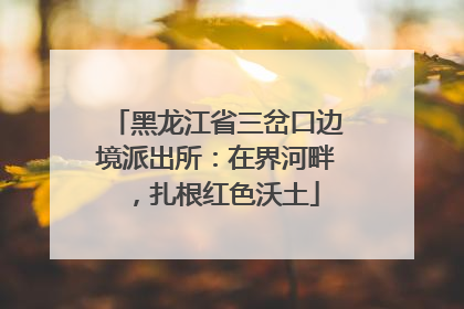 黑龙江省三岔口边境派出所：在界河畔，扎根红色沃土