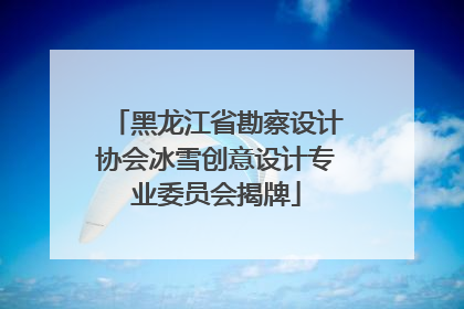 黑龙江省勘察设计协会冰雪创意设计专业委员会揭牌