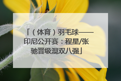 （体育）羽毛球——印尼公开赛：程星/张驰晋级混双八强