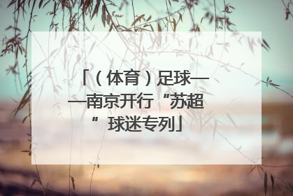 （体育）足球——南京开行“苏超”球迷专列
