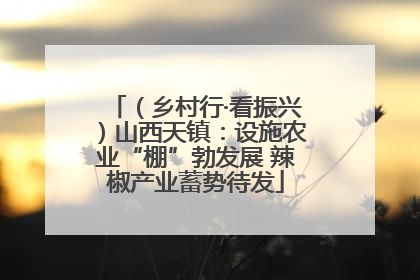 （乡村行·看振兴）山西天镇：设施农业“棚”勃发展 辣椒产业蓄势待发