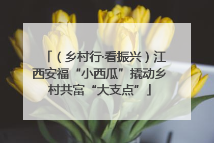 （乡村行·看振兴）江西安福“小西瓜”撬动乡村共富“大支点”
