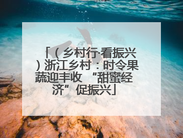 （乡村行·看振兴）浙江乡村：时令果蔬迎丰收 “甜蜜经济”促振兴