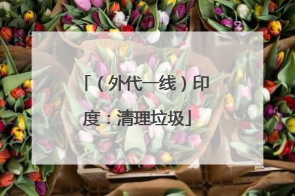 （外代一线）印度：清理垃圾
