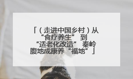（走进中国乡村）从 “食疗养生” 到 “适老化改造” 秦岭腹地成康养“福地”