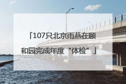 107只北京雨燕在颐和园完成年度“体检”