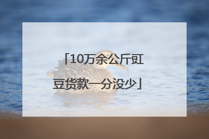 10万余公斤豇豆货款一分没少
