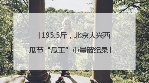 195.5斤，北京大兴西瓜节“瓜王”重量破纪录
