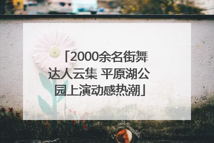 2000余名街舞达人云集 平原湖公园上演动感热潮