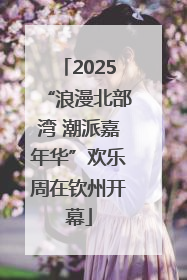 2025“浪漫北部湾 潮派嘉年华”欢乐周在钦州开幕