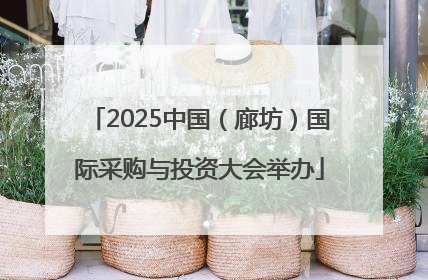2025中国（廊坊）国际采购与投资大会举办