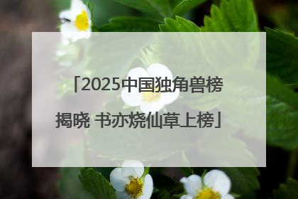 2025中国独角兽榜揭晓 书亦烧仙草上榜