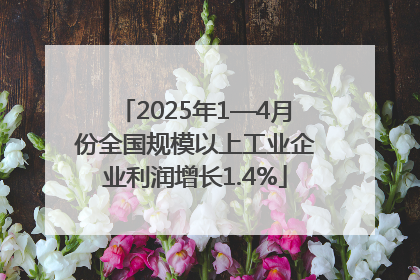 2025年1—4月份全国规模以上工业企业利润增长1.4%