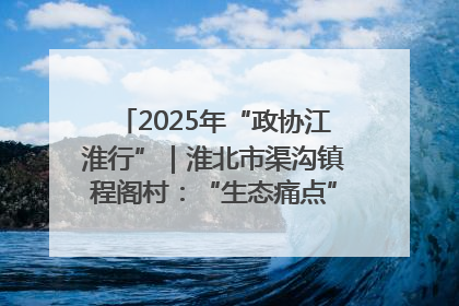 2025年“政协江淮行”｜淮北市渠沟镇程阁村：“生态痛点”变“生态景观”