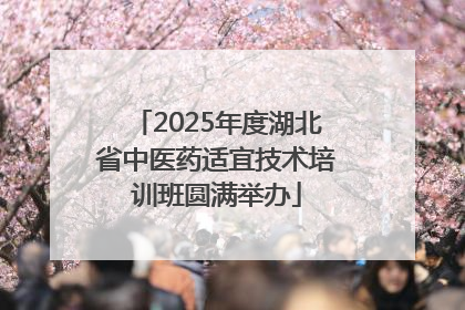 2025年度湖北省中医药适宜技术培训班圆满举办