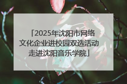 2025年沈阳市网络文化企业进校园双选活动走进沈阳音乐学院