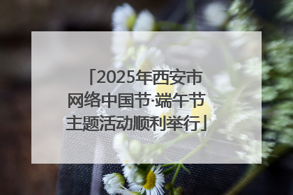 2025年西安市网络中国节·端午节主题活动顺利举行