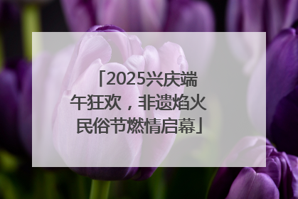 2025兴庆端午狂欢，非遗焰火民俗节燃情启幕