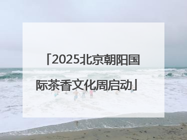 2025北京朝阳国际茶香文化周启动