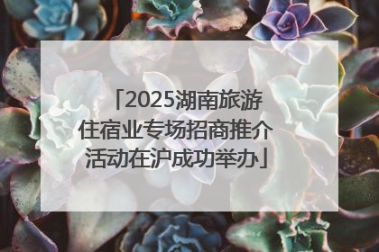 2025湖南旅游住宿业专场招商推介活动在沪成功举办