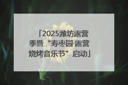 2025潍坊露营季暨“寿枣园·露营烧烤音乐节”启动