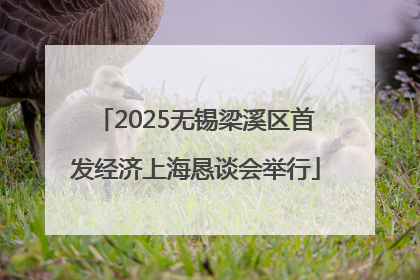 2025无锡梁溪区首发经济上海恳谈会举行