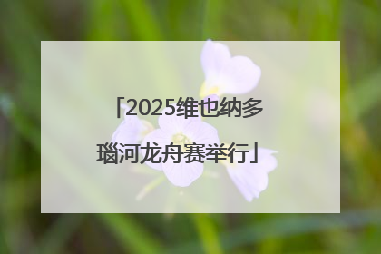 2025维也纳多瑙河龙舟赛举行