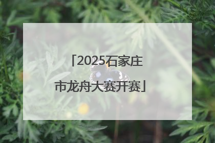 2025石家庄市龙舟大赛开赛