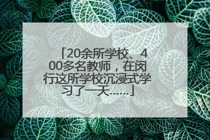 20余所学校、400多名教师，在闵行这所学校沉浸式学习了一天……