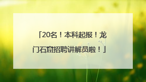 20名！本科起报！龙门石窟招聘讲解员啦！