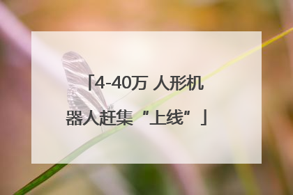 4-40万 人形机器人赶集“上线”