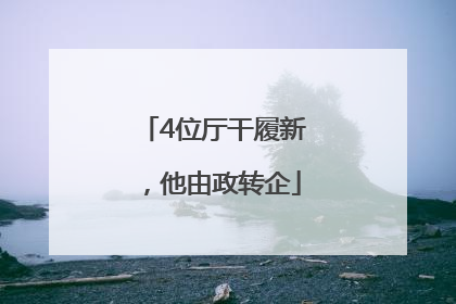 4位厅干履新，他由政转企