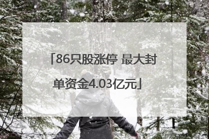 86只股涨停 最大封单资金4.03亿元