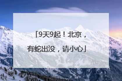 9天9起！北京，有蛇出没，请小心