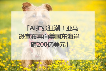 AI扩张狂潮！亚马逊宣布再向美国东海岸砸200亿美元