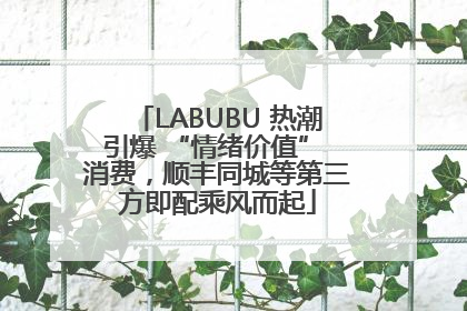 LABUBU 热潮引爆 “情绪价值” 消费，顺丰同城等第三方即配乘风而起