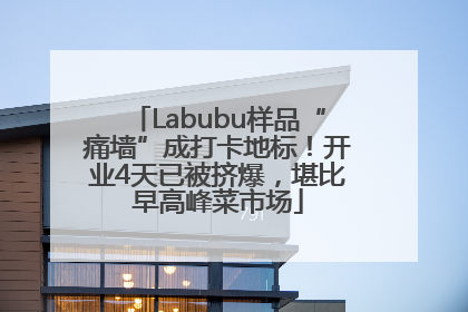 Labubu样品“痛墙”成打卡地标！开业4天已被挤爆，堪比早高峰菜市场