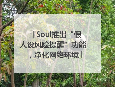 Soul推出“假人设风险提醒”功能，净化网络环境