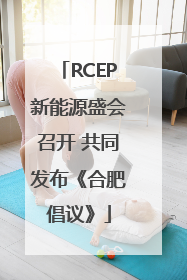 RCEP新能源盛会召开 共同发布《合肥倡议》